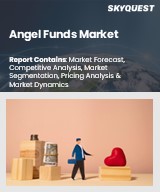 Global Angel Funds Market