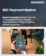 Global B2C Payment Market