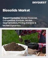 Global Biosolids Market