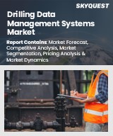 Global Drilling Data Management Systems Market