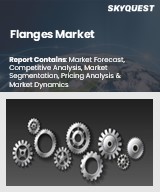 Global Flanges Market