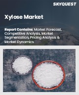 Global xylose Market