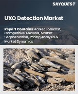 Global UXO Detection Market