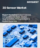 Global 3D Sensor Market
