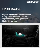 Global LiDAR Market