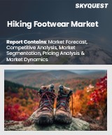 Global Hiking Footwear Market
