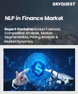 Global NLP in Finance Market
