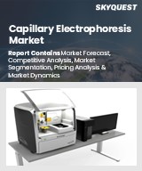 Global Capillary Electrophoresis Market