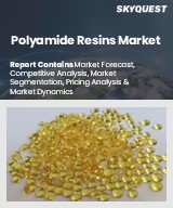 Global Polyamide Resins Market