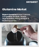 Glutamine Market