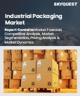 Global Industrial Packaging Market