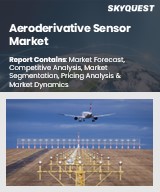 Global Aeroderivative Sensor Market