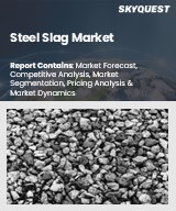 Global Steel Slag Market