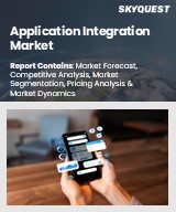Global Application Integration Market