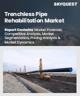 Global Trenchless Pipe Rehabilitation Market