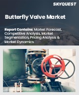 Global Butterfly Valve Market
