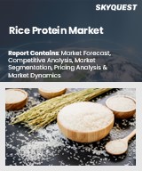 Global Rice Protein Market