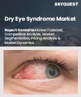 Global Dry Eye Syndrome Market