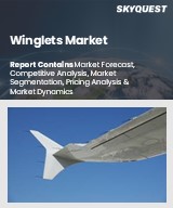 Global Winglets Market