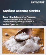 Global Sodium Acetate Market