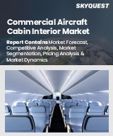 Global Commercial Aircraft Cabin Interior Market