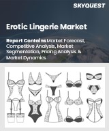 Global Erotic Lingerie Market