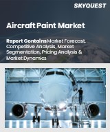 Global Aircraft Paint Market