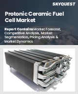 Global Protonic Ceramic Fuel Cell Market