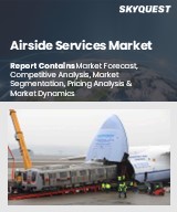 Global Airside Services Market