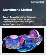 Global Membrane Market