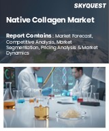 Global Native Collagen Market