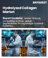 Global Hydrolyzed Collagen Market
