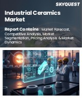 Global Industrial Ceramics Market