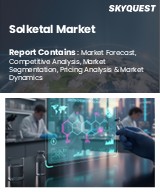 Global Solketal Market