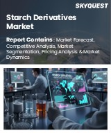 Global Starch Derivatives Market
