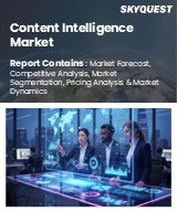 Global Content Intelligence Market