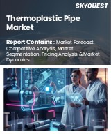 Global Thermoplastic Pipe Market