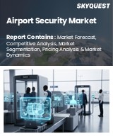 Global Airport Security Market