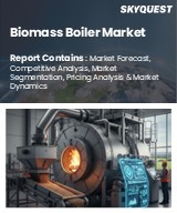 Global Biomass Boiler Market