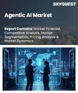 Global Agentic AI Market