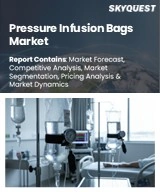 Global Pressure Infusion Bags Market