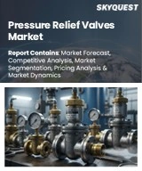 Global Pressure Relief Valves Market