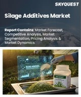 Global Silage Additives Market