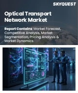 Optical Transport Network Market