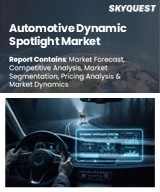 Global Automotive Dynamic Spotlight Market