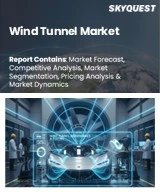 Wind Tunnel Market