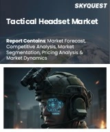 Tactical Headset Market