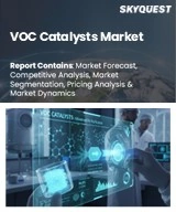 Global VOC Catalysts Market