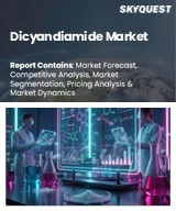 Dicyandiamide Market