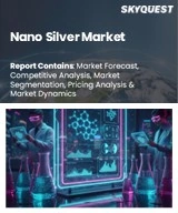 Global Nano Silver Market